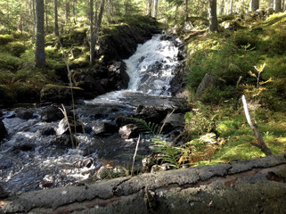 Waterfall in the forest of Sweden.