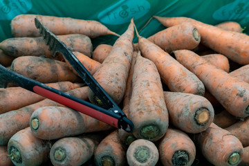 Both fruit and vegetable are high price because of heat wave. In fact, many countries all over the world are suffering from the record-breaking hot weather.