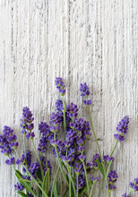 Lavender Background Vertical Top View