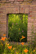 Window with flowers. A window into nature.