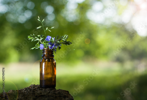 Fotografie, Obraz Alternative medicine, aromatherapy - bottle.