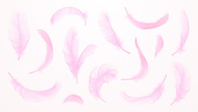 Vector Pink Feathers Collection, Set Of Different Falling Fluffy Twirled Feathers, Isolated On White Background. Realistic Style, Vector 3d Illustration.