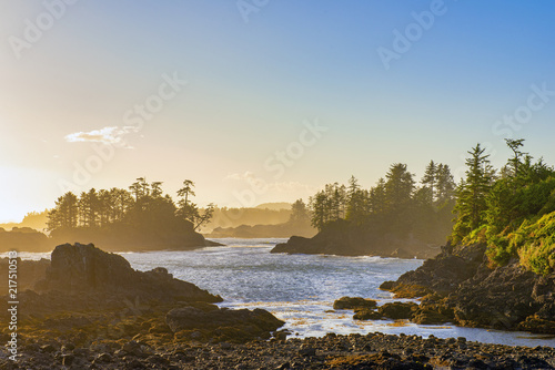 Fotomural Shoreline at wild pacific trail in Ucluelet, Vancouver Island, BC