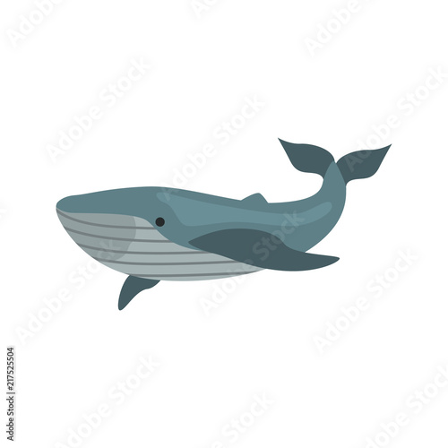 Blue Whale Color Vector Icon Flat Design This Stock Blue Whale Color Vector Icon Flat Design