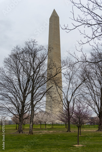 Fotografia Washington Monument surrounded by flags in Washington D.C.
