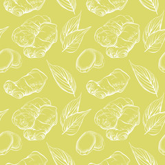 Poster - Vector seamless pattern with fresh ginger root and leaves. Ginger root hand sketch vector illustration. Hand drawn botanical sketch style. 