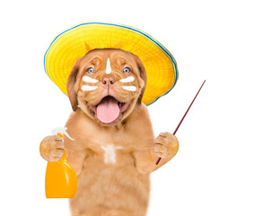 Poster - Puppy in summer hat  with applying sun cream on face, holds bottle of sunscreen cream and pointing away. Summer vacation concept. isolated on white background