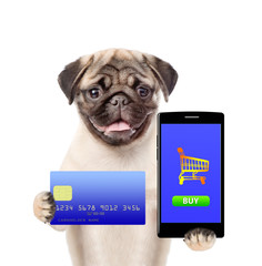 Poster - puppy with smartphone and credit card. Isolated on white background