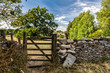 Wooden gate and stone wall along farmland, Cotswolds, England