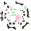 The cute panda baby. cartoon sketch animal style