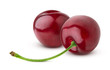 Two fresh cherries isolated on white background
