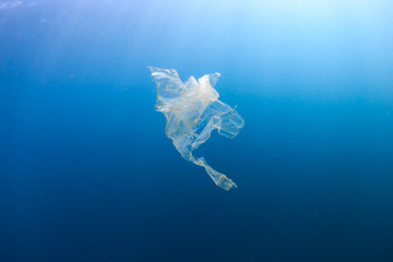 Wall Mural - A shredded, discarded plastic bag floating underwater in a tropical ocean creating a hazard to marine life