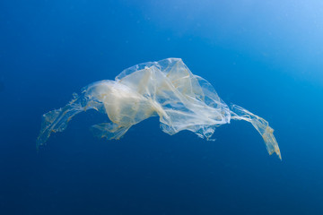 Wall Mural - A shredded, discarded plastic bag floating underwater in a tropical ocean creating a hazard to marine life