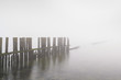Old wooden groyne on a coastline with heavy dense fog