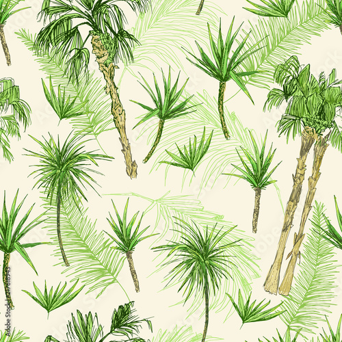 wzor-palmtrees-zielone-palmy-kokosowe-lub-krolowej-z-lisci-plaza-i-lasy-deszczowe-pustynna-flora-kokosowa-liscie-subtropi