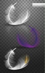 Wall Mural - isolated falling fluffy twirled feathers on transparent background in realistic style. vector illust