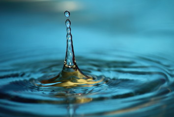 beautiful fresh water drops in fresh nature