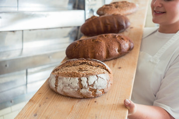 Wall Mural - Fresh bread on a board in bakehouse of bakery being held by a female baker