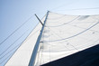canvas print picture - Mast and white sail from above