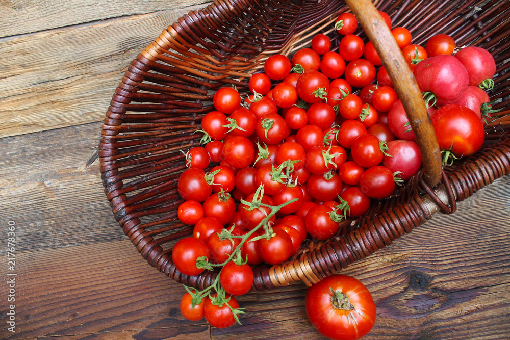 Obraz na płótnie pomidory w koszyku w salonie