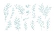 Collection of various eucalyptus branches with leaves hand drawn with green contour lines on white background. Bundle of botanical design elements. Monochrome realistic floral vector illustration.