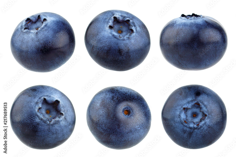 Blueberry berries isolated on white background. Collection. - obrazy, fototapety, plakaty 