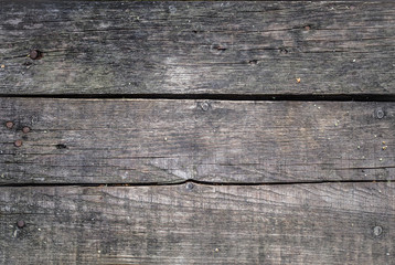 wood texture