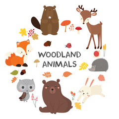 Wall Mural - Set of cute illustration of woodland animals