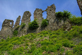 Fototapeta Kwiaty - Ancient ruins of the castle of the town of Khust (Dracula Castle). a huge and powerful castle that performed a defensive function and played an important role in many battles. Western Ukraine, Europe