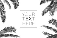Vector Frame With Realistic Palm Leaves. Black Silhouette With Place For Your Text On White Isolated Background. Tropical Frame For Banner, Card, Poster, Brochure, Wallpaper. Vector Illustration.