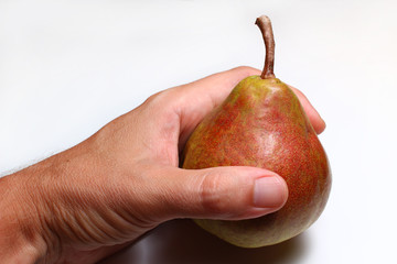 Wall Mural - Pear on the hand on a white background