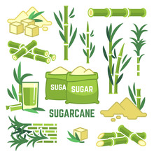 Sugar Plant Agricultural Crops, Cane Leaf, Sugarcane Juice Vector Icons