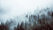 canvas print picture - Wald im Nebel