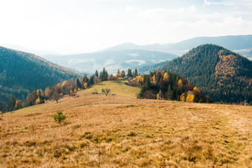 Sticker - beautiful autumn landscape in the mountains