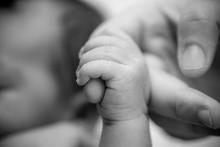 Newborn Baby Holding Finger Of Mother / Father. Happy Family And Baby Protection Concept. Mom And Dad Holding The Hand Of Their Child.