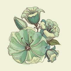 Fototapete - Floral bouquet, vector lilies design