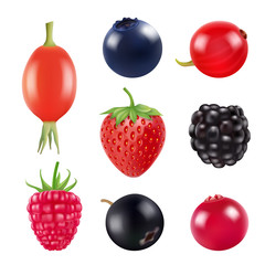 Poster - Set of berries. Realistic pictures of fresh fruits and berries isolate on white