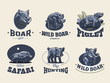 Set of vintage wild boar emblems. 