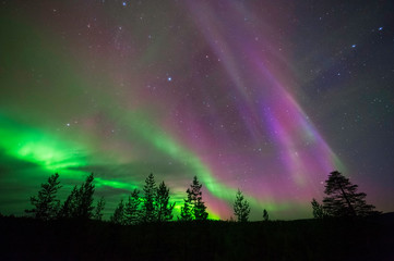 aurora borealis, northern lights, above boreal forest in northern finland.