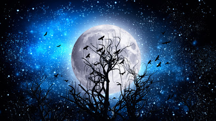 Wall Mural - Spooky Tree  Night with moon  Halloween background.
