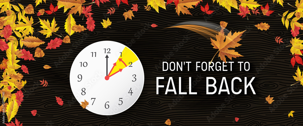Day Light Savings Time End - Don't Forget To Fall Back. Stock Vector ...