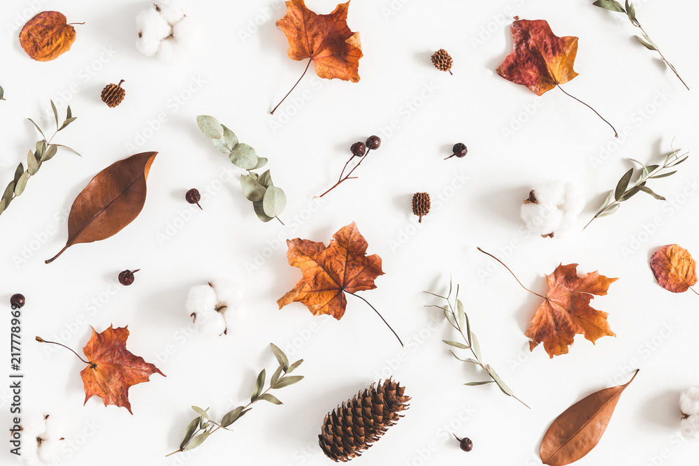 Autumn composition. Pattern made of eucalyptus branches, cotton flowers, dried leaves on white background. Autumn, fall concept. Flat lay, top view - obrazy, fototapety, plakaty 