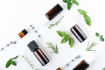 Wall Mural - essential oils with botles and herbs on white background