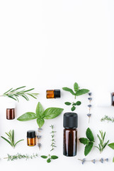 Wall Mural - essential oils with botles and herbs on white background