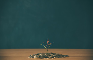 Wall Mural - Coin growth concept