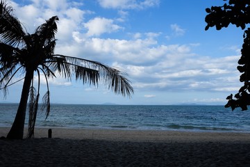 Beautiful beach with coconut tree.