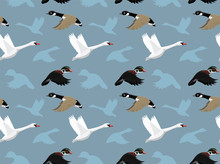 Ducks Wallpaper 1