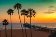 Palm trees and Pier on Manhattan Beach at sunset in California, Los Angeles, USA. Vintage processed. 