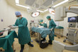 © nimon_t - group of veterinarian surgery in operation room
