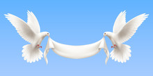 White Pigeons Realistic Banner